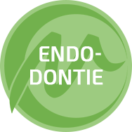 Endodontie 